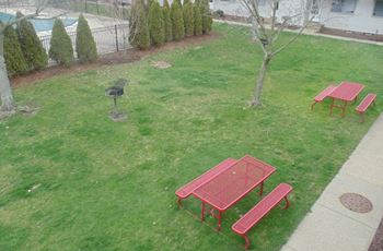 Bbq/picnic area